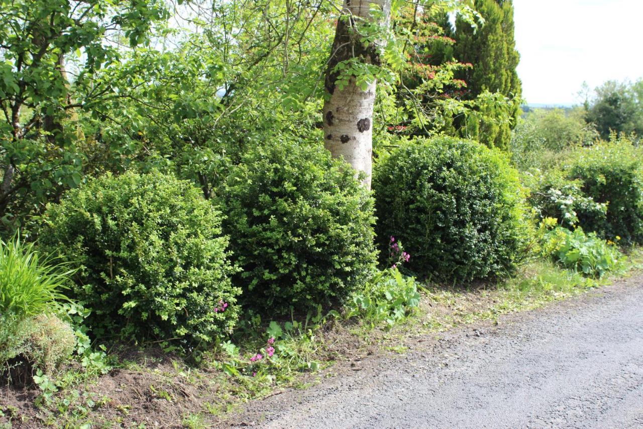 Ketty'S Cottage Rosslea エクステリア 写真